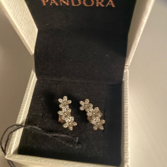 NIB Pandora Sparkling CZ Flower Silver Blossom Stud Earrings - Picture 3 of 11
